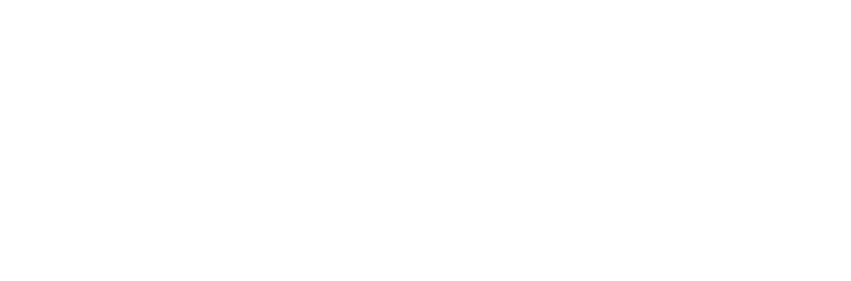 Silhouette der Stadt Neubrandenburg